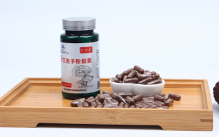 灵芝孢子粉不破壁能吃么？对效果有哪些影响？
