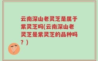 云南深山老灵芝是属于紫灵芝吗(云南深山老灵芝是紫灵芝的品种吗？)