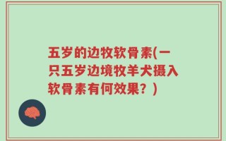 五岁的边牧软骨素(一只五岁边境牧羊犬摄入软骨素有何效果？)