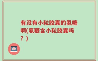 有没有小粒胶囊的氨糖啊(氨糖含小粒胶囊吗？)