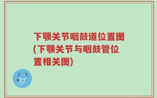 下颚关节咽鼓道位置图(下颚关节与咽鼓管位置相关图)