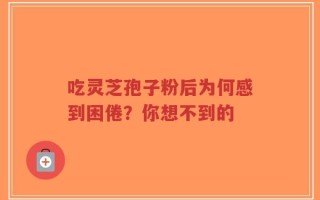 吃灵芝孢子粉后为何感到困倦？你想不到的