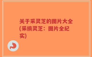 关于采灵芝的图片大全(采摘灵芝：图片全纪实)