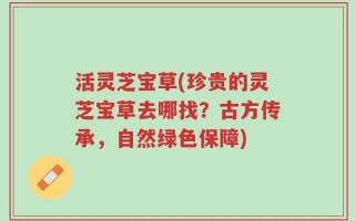 活灵芝宝草(珍贵的灵芝宝草去哪找？古方传承，自然绿色保障)