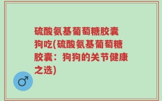 硫酸氨基葡萄糖胶囊 狗吃(硫酸氨基葡萄糖胶囊：狗狗的关节健康之选)
