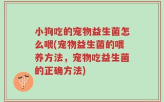 小狗吃的宠物益生菌怎么喂(宠物益生菌的喂养方法，宠物吃益生菌的正确方法)