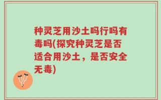种灵芝用沙土吗行吗有毒吗(探究种灵芝是否适合用沙土，是否安全无毒)