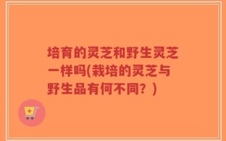培育的灵芝和野生灵芝一样吗(栽培的灵芝与野生品有何不同？)