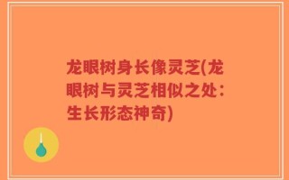 龙眼树身长像灵芝(龙眼树与灵芝相似之处：生长形态神奇)