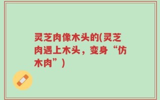 灵芝肉像木头的(灵芝肉遇上木头，变身“仿木肉”)