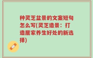 种灵芝盆景的文案短句怎么写(灵芝造景：打造居家养生好处的新选择)