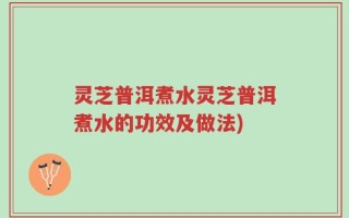 灵芝普洱煮水灵芝普洱煮水的功效及做法)