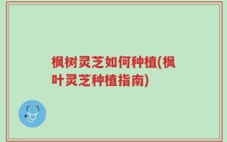枫树灵芝如何种植(枫叶灵芝种植指南)
