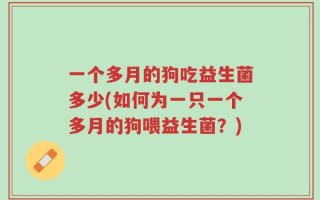 一个多月的狗吃益生菌多少(如何为一只一个多月的狗喂益生菌？)