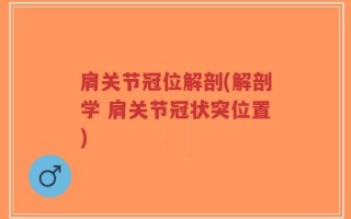 肩关节冠位解剖(解剖学 肩关节冠状突位置)