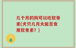 几个月的狗可以吃软骨素(犬只几月大能否食用软骨素？)