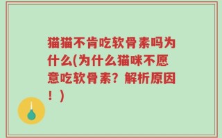 猫猫不肯吃软骨素吗为什么(为什么猫咪不愿意吃软骨素？解析原因！)