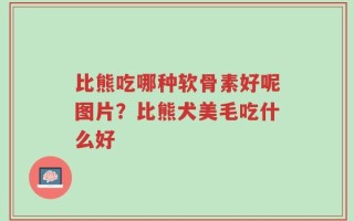比熊吃哪种软骨素好呢图片？比熊犬美毛吃什么好