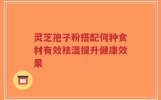 灵芝孢子粉搭配何种食材有效祛湿提升健康效果
