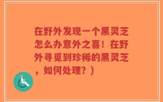 在野外发现一个黑灵芝怎么办意外之喜！在野外寻觅到珍稀的黑灵芝，如何处理？)