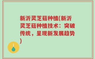 新沂灵芝菇种植(新沂灵芝菇种植技术：突破传统，呈现新发展趋势)