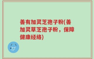 善有加灵芝孢子粉(善加灵草芝孢子粉，保障健康经络)