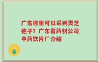 广东哪里可以采到灵芝孢子？广东省药材公司中药饮片厂介绍