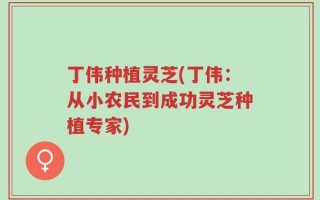 丁伟种植灵芝(丁伟：从小农民到成功灵芝种植专家)