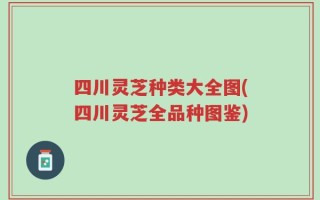 四川灵芝种类大全图(四川灵芝全品种图鉴)
