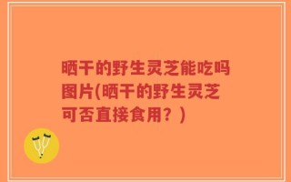 晒干的野生灵芝能吃吗图片(晒干的野生灵芝可否直接食用？)