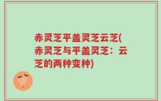 赤灵芝平盖灵芝云芝(赤灵芝与平盖灵芝：云芝的两种变种)