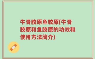 牛骨胶原鱼胶原(牛骨胶原和鱼胶原的功效和使用方法简介)