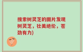 搜索树灵芝的图片发现树灵芝，壮美绝伦，苍劲有力)