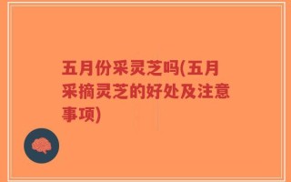 五月份采灵芝吗(五月采摘灵芝的好处及注意事项)
