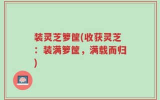 装灵芝箩筐(收获灵芝：装满箩筐，满载而归)