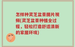 怎样种灵芝盆景图片视频(灵芝盆景种植全过程，轻松打造舒适清新的家居环境)