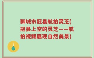 聊城市冠县航拍灵芝(冠县上空的灵芝——航拍视频展现自然美景)