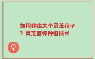 如何种出大个灵芝孢子？灵芝菌棒种植技术
