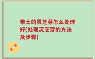 带土的灵芝芽怎么处理好(处理灵芝芽的方法及步骤)