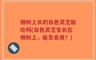 柳树上长的白色灵芝能吃吗(白色灵芝生长在柳树上，能否食用？)