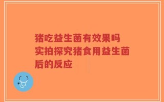 猪吃益生菌有效果吗 实拍探究猪食用益生菌后的反应