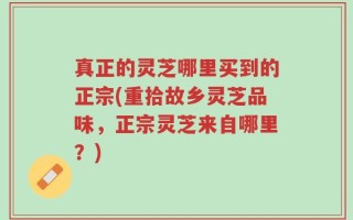 真正的灵芝哪里买到的正宗(重拾故乡灵芝品味，正宗灵芝来自哪里？)