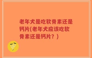 老年犬是吃软骨素还是钙片(老年犬应该吃软骨素还是钙片？)