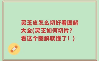 灵芝皮怎么切好看图解大全(灵芝如何切片？看这个图解就懂了！)