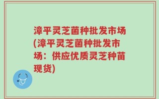 漳平灵芝菌种批发市场(漳平灵芝菌种批发市场：供应优质灵芝种苗现货)