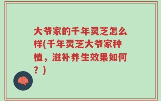 大爷家的千年灵芝怎么样(千年灵芝大爷家种植，滋补养生效果如何？)