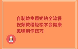 自制益生菌奶块全流程视频教程轻松学会健康美味制作技巧