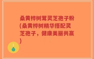 桑黄桦树茸灵芝孢子粉(桑黄桦树精华搭配灵芝孢子，健康美丽共赢)