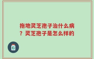 拖地灵芝孢子治什么病？灵芝孢子是怎么样的