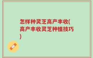 怎样种灵芝高产丰收(高产丰收灵芝种植技巧)